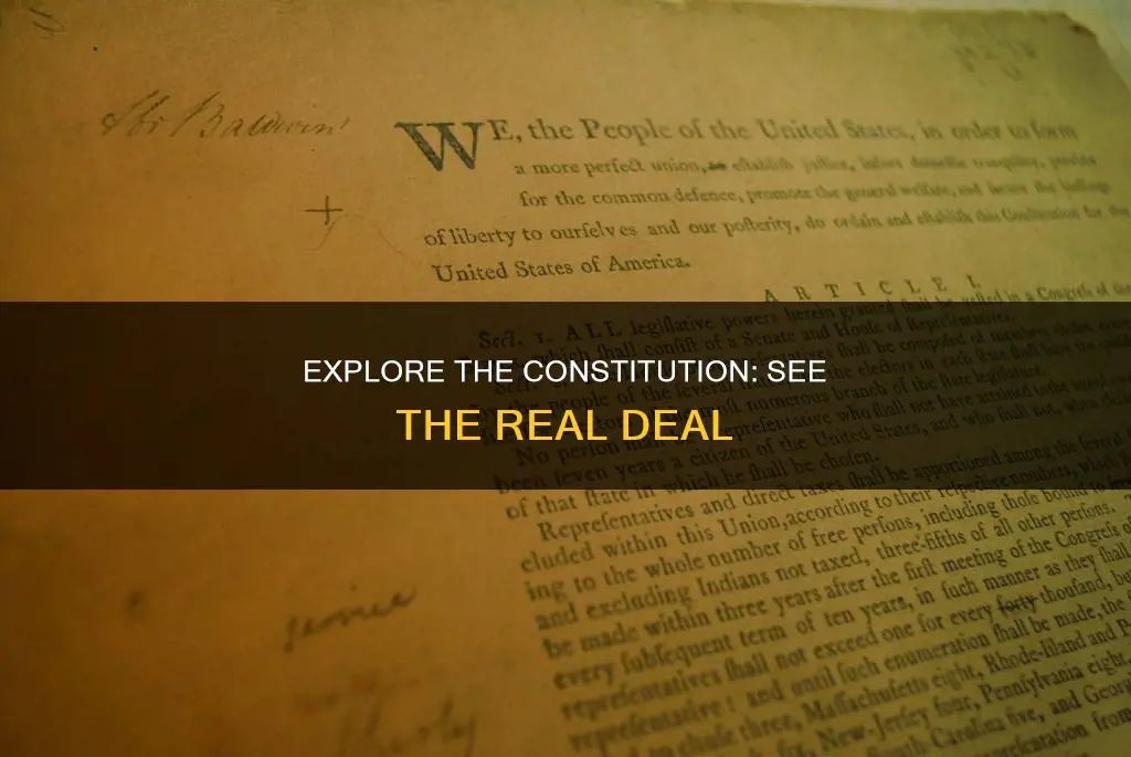 where do i go to see the real constitution