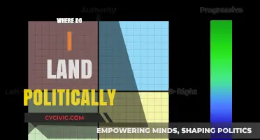 Exploring My Political Compass: Where Do I Truly Belong?