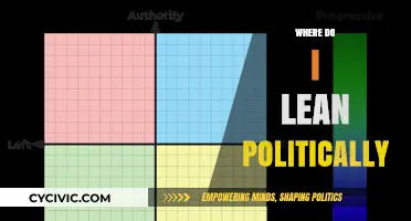 Exploring My Political Compass: Where Do I Truly Lean?