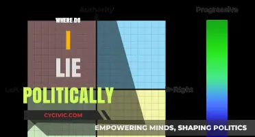 Discovering Your Political Compass: Where Do You Truly Stand?