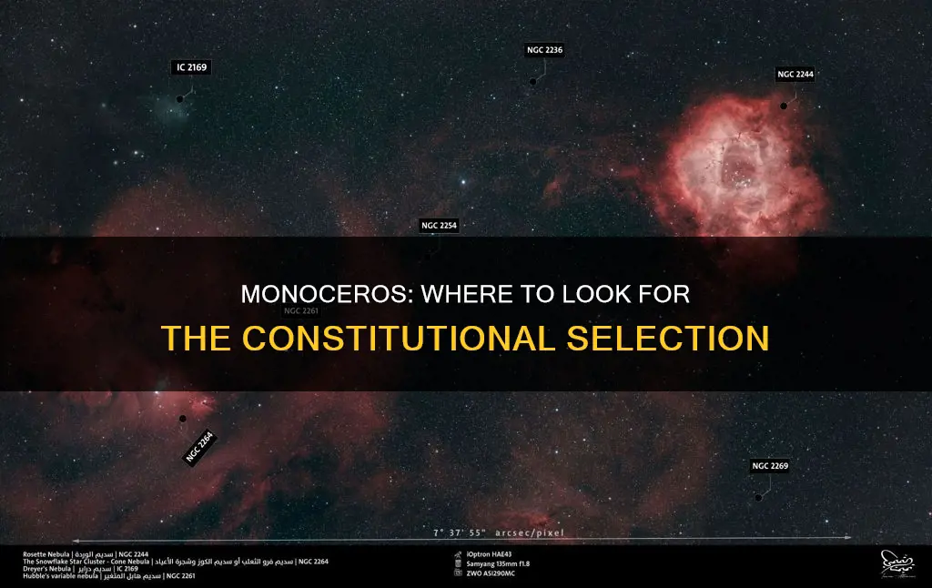 where do i look to see the constitution selection monoceros