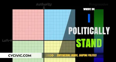 Discovering My Political Compass: A Personal Journey of Beliefs and Values