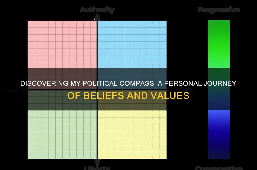 where do i politically stand