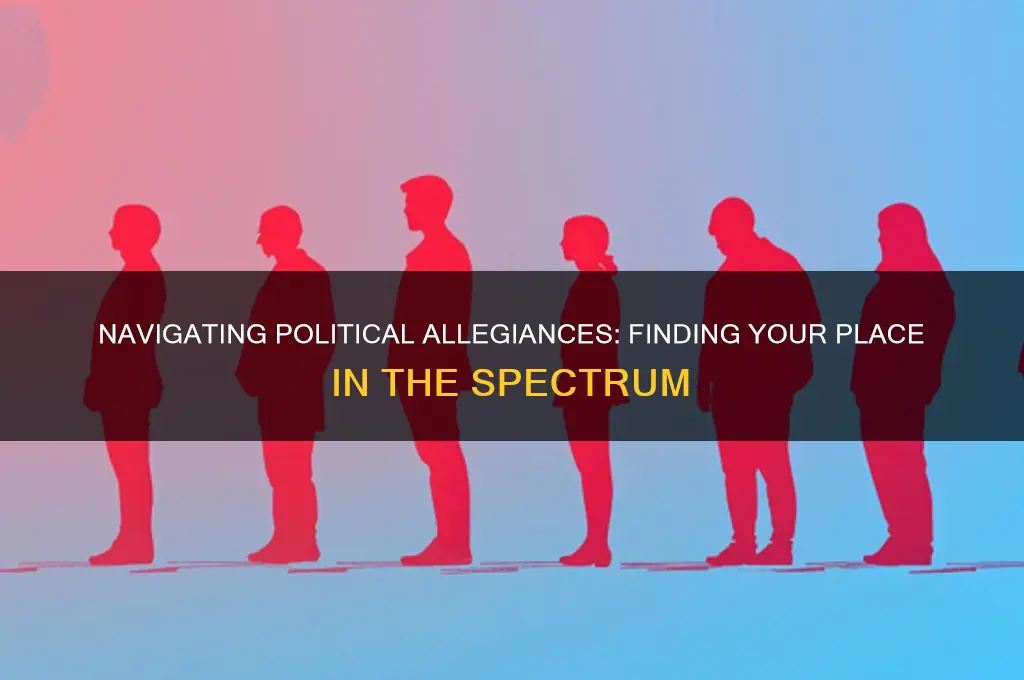 where do i side political