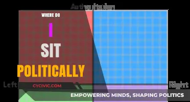 Exploring My Political Compass: Where Do I Truly Belong?