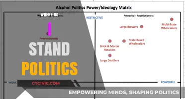 Navigating Political Beliefs: Discovering Your Stance in Today's Divided Landscape