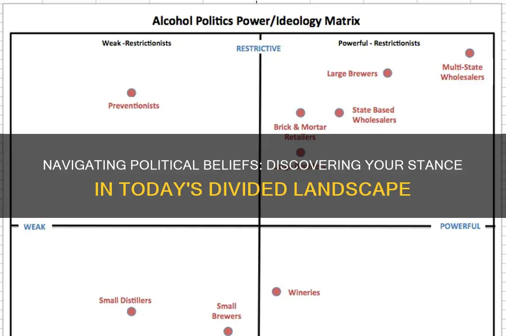 where do i stand politics