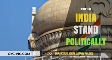 India's Political Landscape: Challenges, Opportunities, and Global Standing