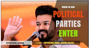 Emerging Political Parties: Strategic Entry Points in Modern Democracies
