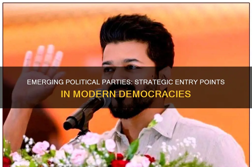 where do new political parties enter