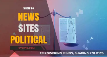 Where Do News Sites Stand Politically? Uncovering Media Bias and Influence