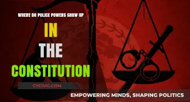 Police Powers: Constitutional Roots and Reach