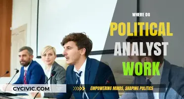 Exploring Diverse Workplaces for Political Analysts: Roles and Environments