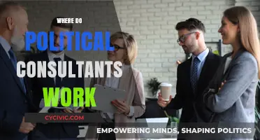 Exploring the Diverse Workplaces of Political Consultants: Roles and Environments