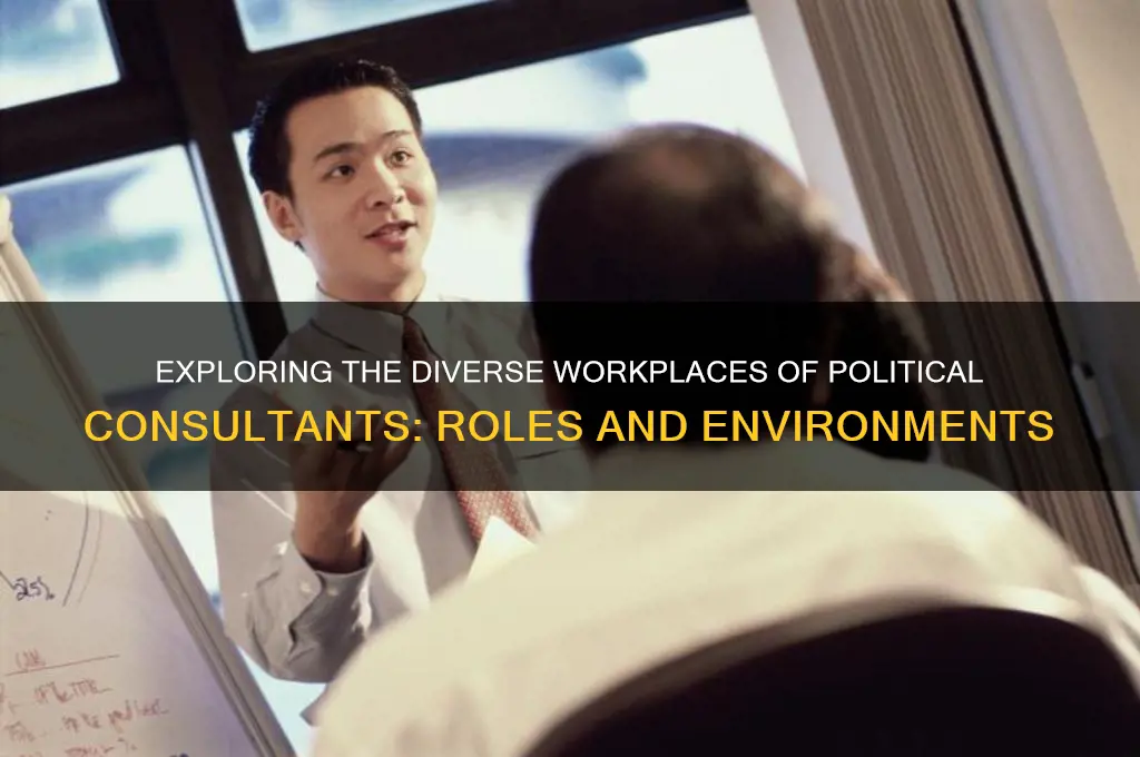 where do political consultants work