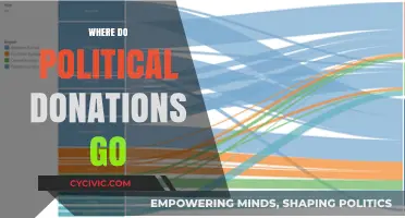 Unveiling the Trail: Where Political Donations Really Go