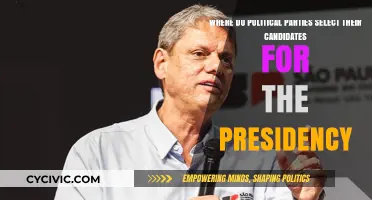 How Political Parties Choose Their Presidential Candidates: A Selection Process