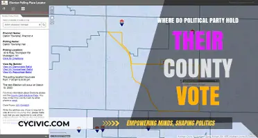 Where County Votes Happen: Uncovering Political Party Polling Locations