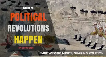 Where Political Revolutions Ignite: Uncovering the Global Hotspots of Change