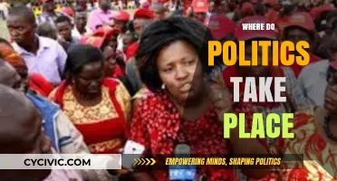 Where Politics Unfold: Exploring the Diverse Arenas of Political Engagement