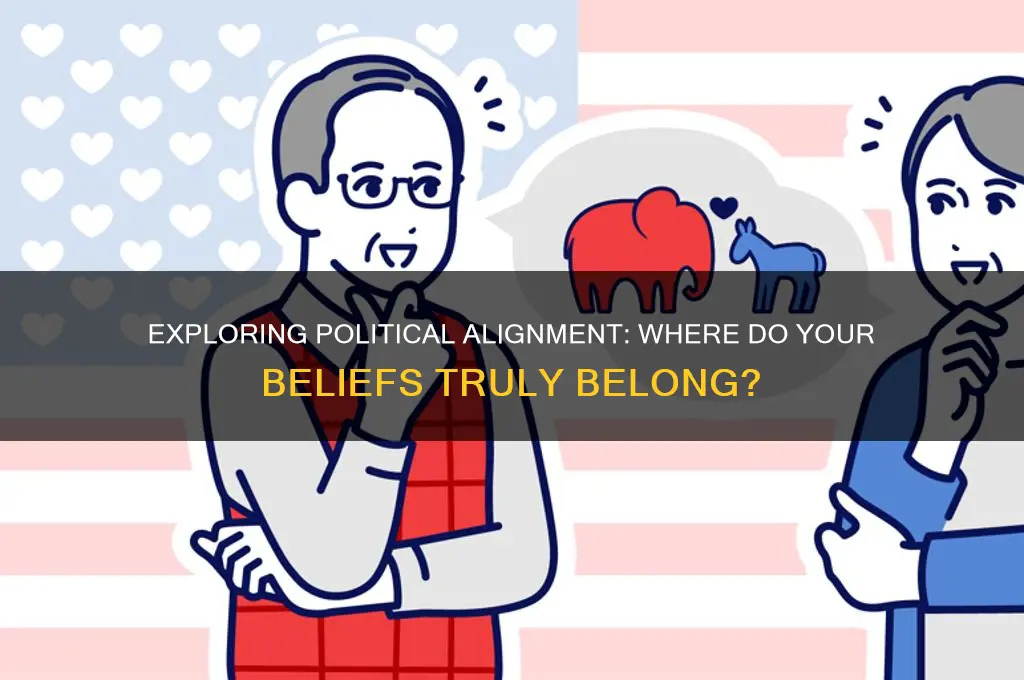 where do you align politically