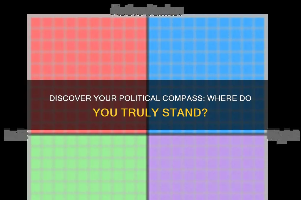 where do you fall politically