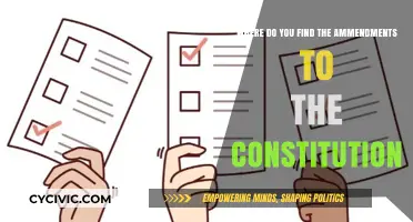 Amendments: A Guide to Constitutional Changes