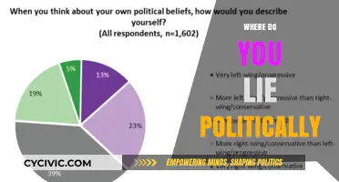Exploring Political Beliefs: Where Do You Stand on the Spectrum?