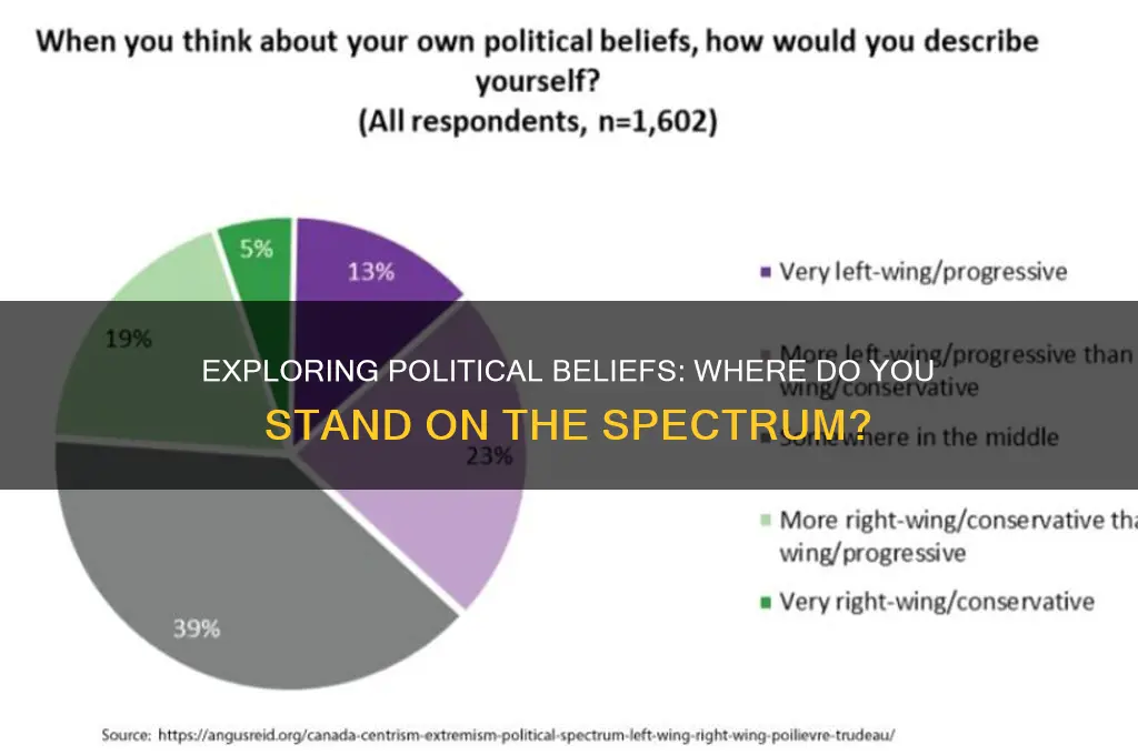 where do you lie politically