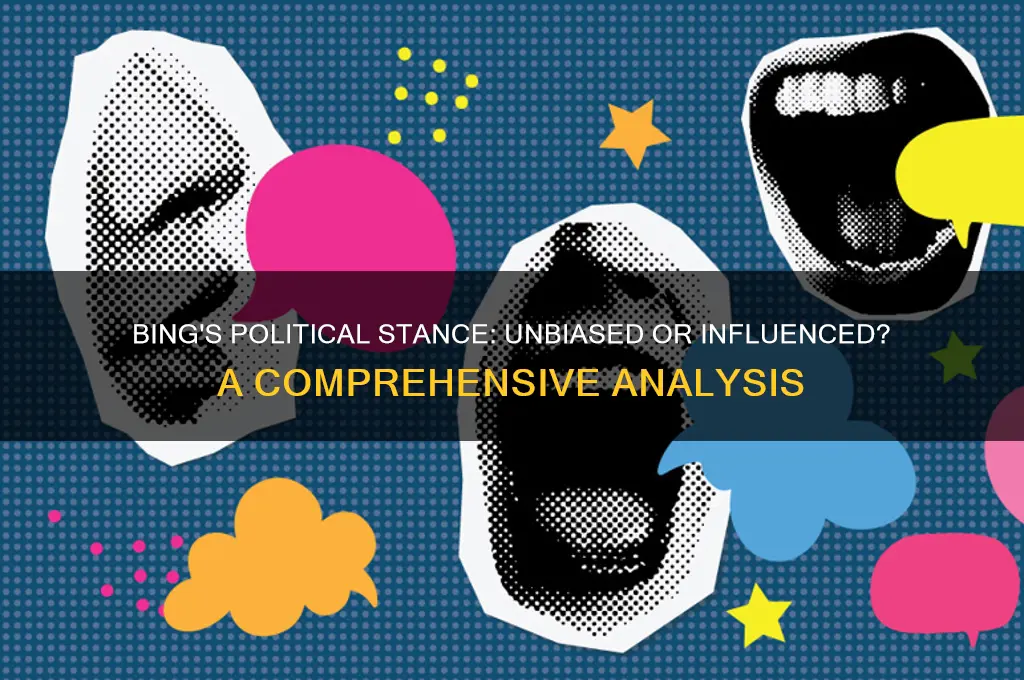 where does bing stand politicly