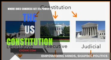 Congress's Power: Exploring the US Constitution