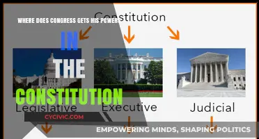 Congress Powers: Exploring Constitutional Roots