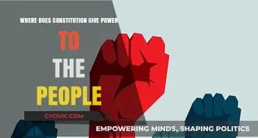 The Constitution: Power to the People