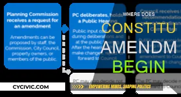 Amending the Constitution: Where Does it Start?