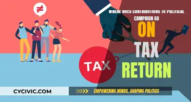 Tax Returns: Political Campaign Contributions Explained