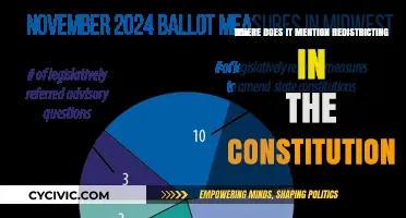 Redistricting: The Constitution's Impact and Influence