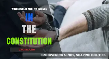 The Constitution and Torture: A Direct Mention