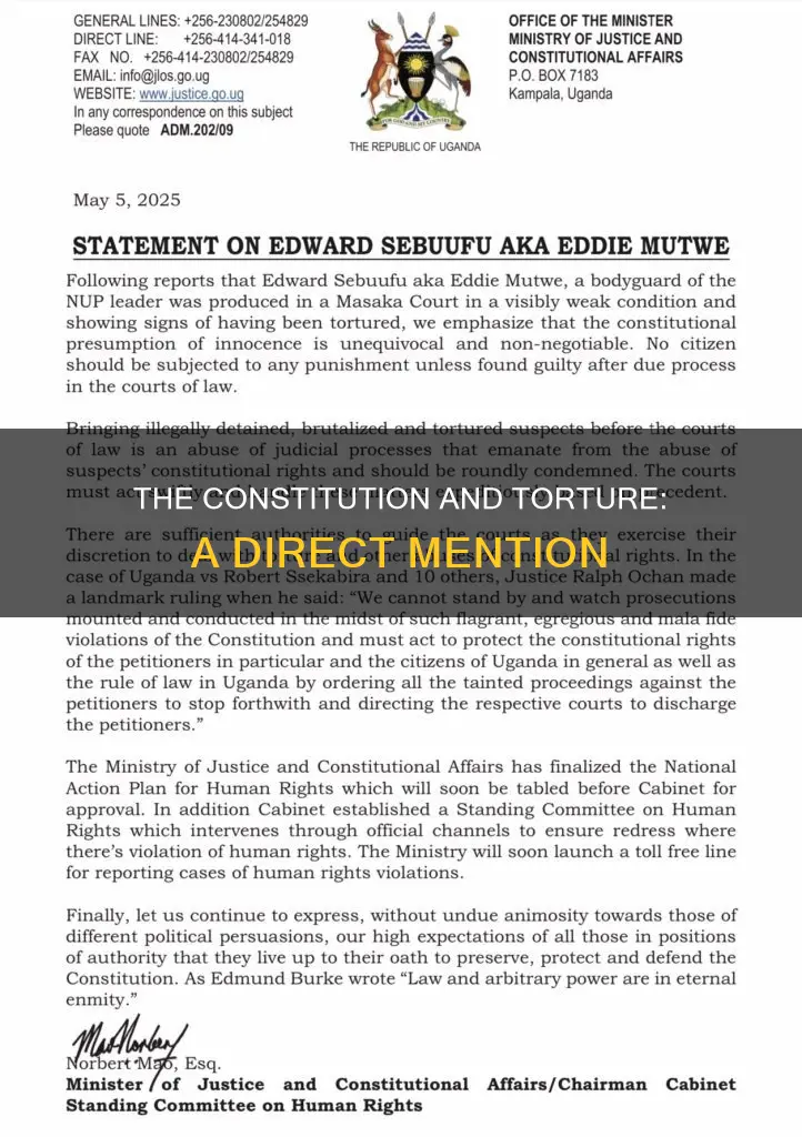 where does it mention torture in the constitution