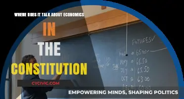 The Constitution's Economics: Exploring the Monetary Framework