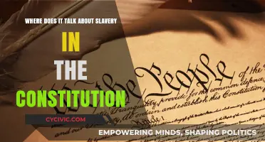 Slavery in the Constitution: A Historical Perspective