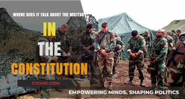 The Constitution's Military Provisions: What and Where?