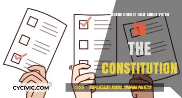 The Constitution and Voting Rights