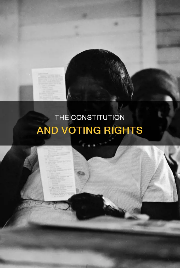 where does it talk about votes in the constitution