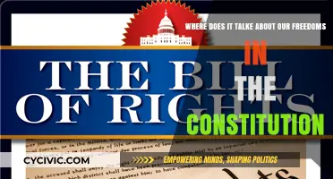 Our Constitution: The Foundation of Our Freedoms