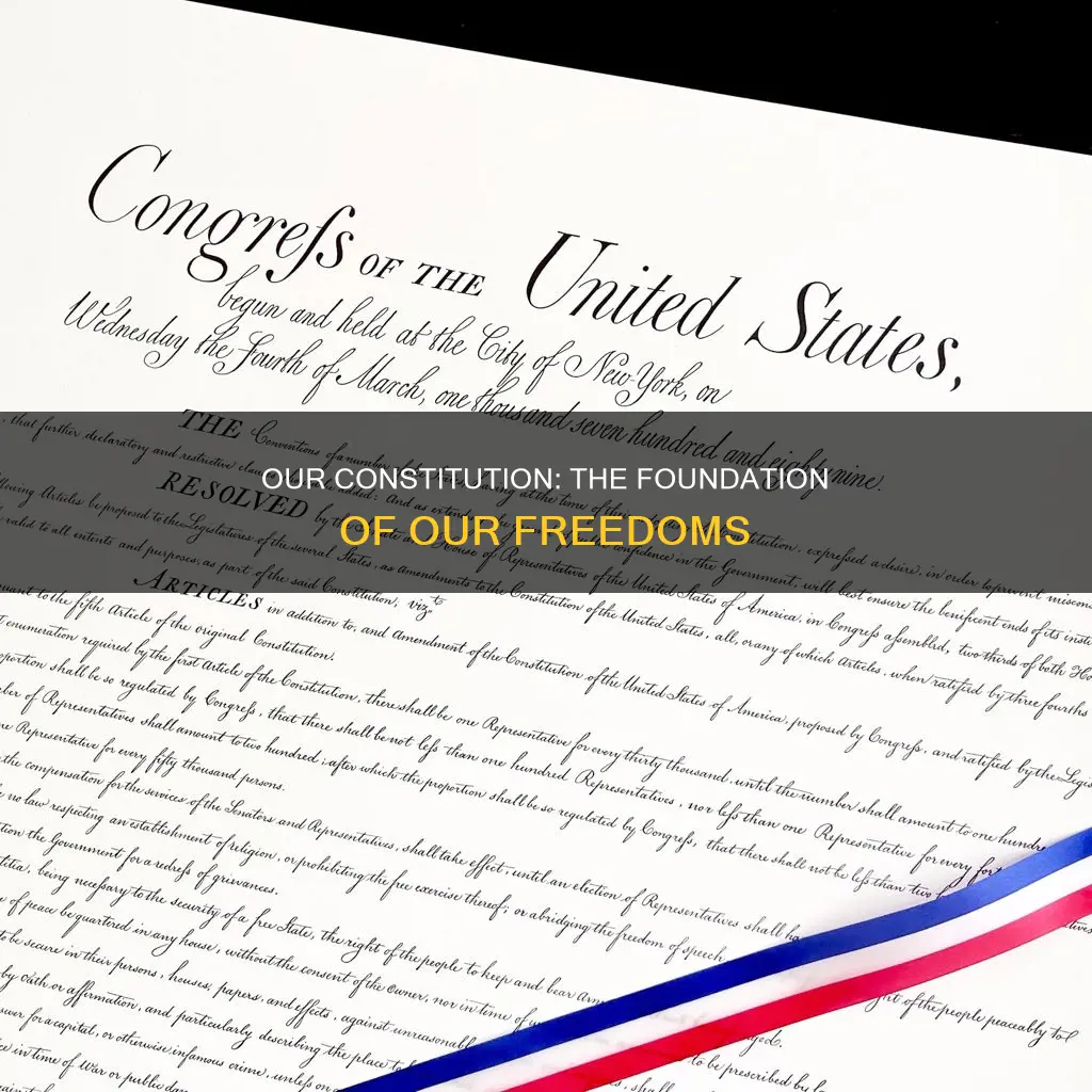 where does it talke about our freedoms in the constitution