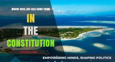 Jus Soli: Roots in the Constitution