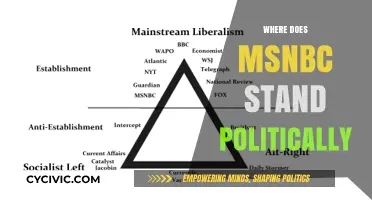 MSNBC's Political Leanings: Uncovering the Network's Ideological Stance
