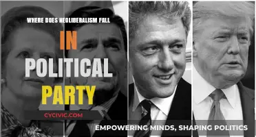 Neoliberalism's Political Alignment: Where Do Parties Stand Today?