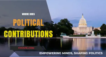 Tracing the Flow: Where Do Political Contributions Really Go?