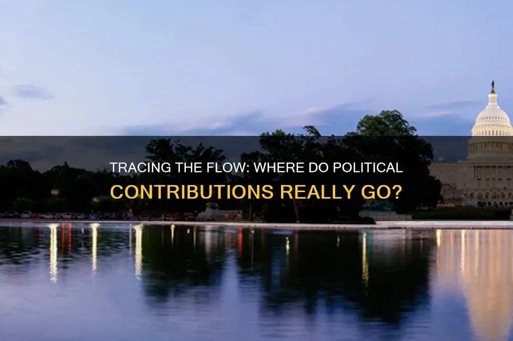 where does political contributions